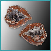 FSH102pr Fishhook Thunderegg Specimen Pair