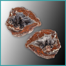 FSH102pr Fishhook Thunderegg Specimen Pair