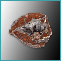 FSH102pr Fishhook Thunderegg Specimen Pair