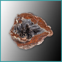 FSH102pr Fishhook Thunderegg Specimen Pair