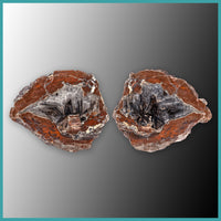 FSH102pr Fishhook Thunderegg Specimen Pair