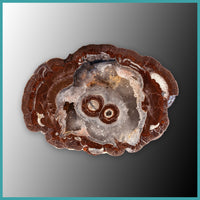 FSH103pr Fishhook Thunderegg Specimen Pair