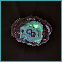 FSH103pr Fishhook Thunderegg Specimen Pair