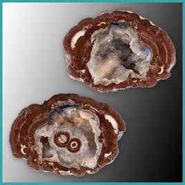 FSH103pr Fishhook Thunderegg Specimen Pair