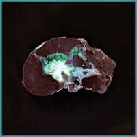 FSH104pr Fishhook Thunderegg Specimen Pair