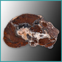 FSH104pr Fishhook Thunderegg Specimen Pair