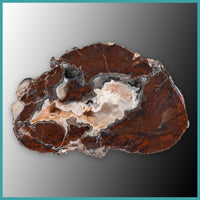 FSH104pr Fishhook Thunderegg Specimen Pair