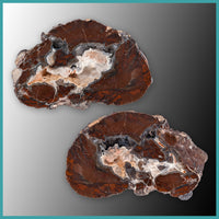 FSH104pr Fishhook Thunderegg Specimen Pair