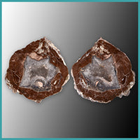 FSH105pr Fishhook Thunderegg Specimen Pair