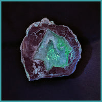 FSH105pr Fishhook Thunderegg Specimen Pair