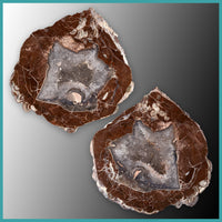 FSH105pr Fishhook Thunderegg Specimen Pair