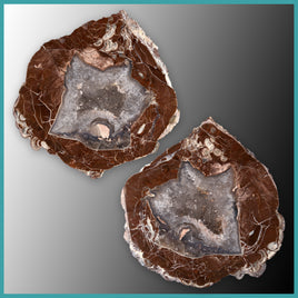FSH105pr Fishhook Thunderegg Specimen Pair