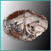 FSH106pr Fishhook Thunderegg Specimen Pair