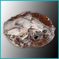 FSH106pr Fishhook Thunderegg Specimen Pair