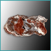 FSH107pr Fishhook Thunderegg Specimen Pair