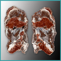 FSH107pr Fishhook Thunderegg Specimen Pair