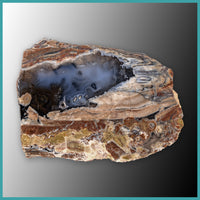 FSH108pr Fishhook Thunderegg Specimen Pair