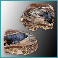 FSH108pr Fishhook Thunderegg Specimen Pair