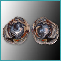 FSH109pr Fishhook Thunderegg Specimen Pair
