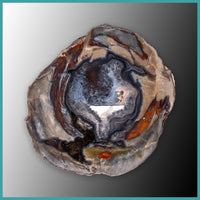 FSH109pr Fishhook Thunderegg Specimen Pair