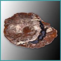 FSH110pr Fishhook Thunderegg Specimen Pair