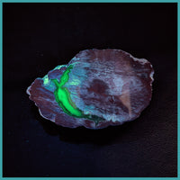 FSH110pr Fishhook Thunderegg Specimen Pair