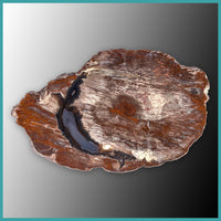 FSH110pr Fishhook Thunderegg Specimen Pair