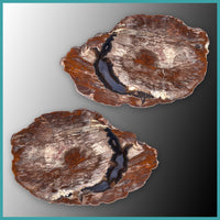 FSH110pr Fishhook Thunderegg Specimen Pair