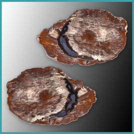 FSH110pr Fishhook Thunderegg Specimen Pair