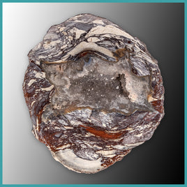 FSH111 Fishhook Thunderegg Specimen