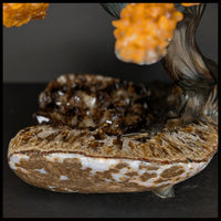 GST219sz7 Gemstone Tree - Citrine