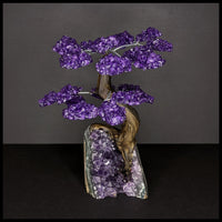 GST224sz5 Gemstone Tree - Amethyst