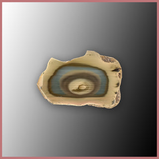 IMP523 Royal Imperial Jasper Specimen