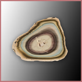 IMP527 Royal Imperial Jasper Specimen