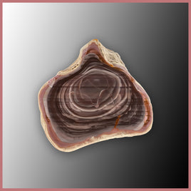 IMP532 Royal Imperial Jasper Specimen