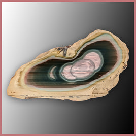 IMP539 Royal Imperial Jasper Specimen