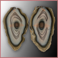 IMP540pr Royal Imperial Jasper Specimen Pair