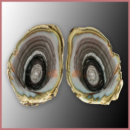 IMP547pr Royal Imperial Jasper Specimen Pair