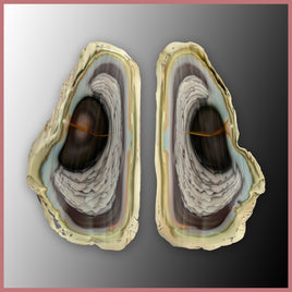 IMP548pr Royal Imperial Jasper Specimen Pair