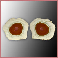 IMP551pr Royal Imperial Jasper Specimen Pair