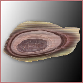 IMP555 Royal Imperial Jasper Specimen