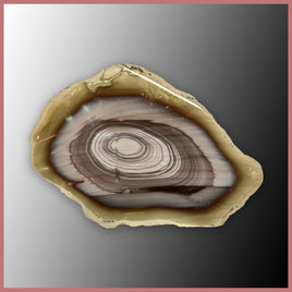 IMP557 Royal Imperial Jasper Specimen
