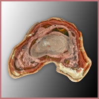 IMP561pr Royal Imperial Jasper Specimen Pair