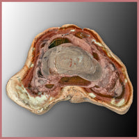 IMP561pr Royal Imperial Jasper Specimen Pair