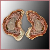 IMP561pr Royal Imperial Jasper Specimen Pair