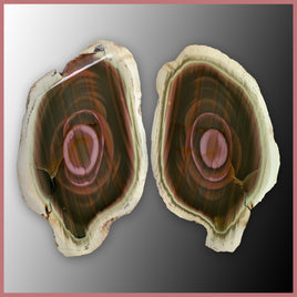 IMP562pr Royal Imperial Jasper Specimen Pair