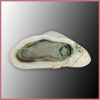 IMP563pr Royal Imperial Jasper Specimen Pair