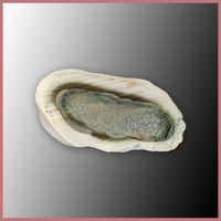 IMP563pr Royal Imperial Jasper Specimen Pair