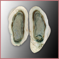 IMP563pr Royal Imperial Jasper Specimen Pair