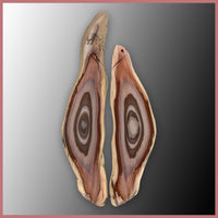 IMP564pr Royal Imperial Jasper Specimen Pair
